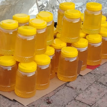 东北野生椴树蜜百花蜜