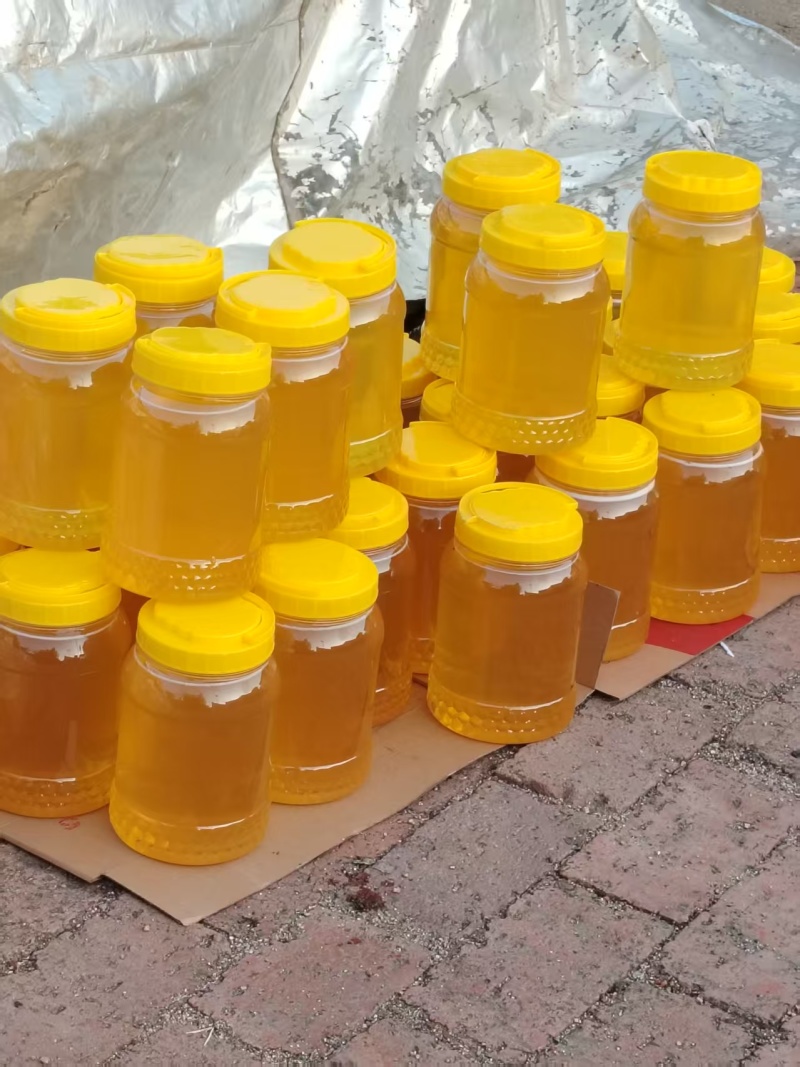 东北野生椴树蜜百花蜜
