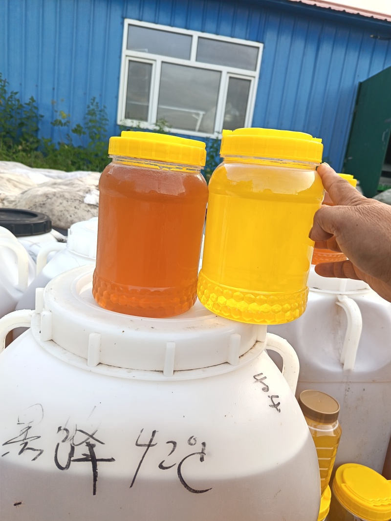 东北野生椴树蜜百花蜜