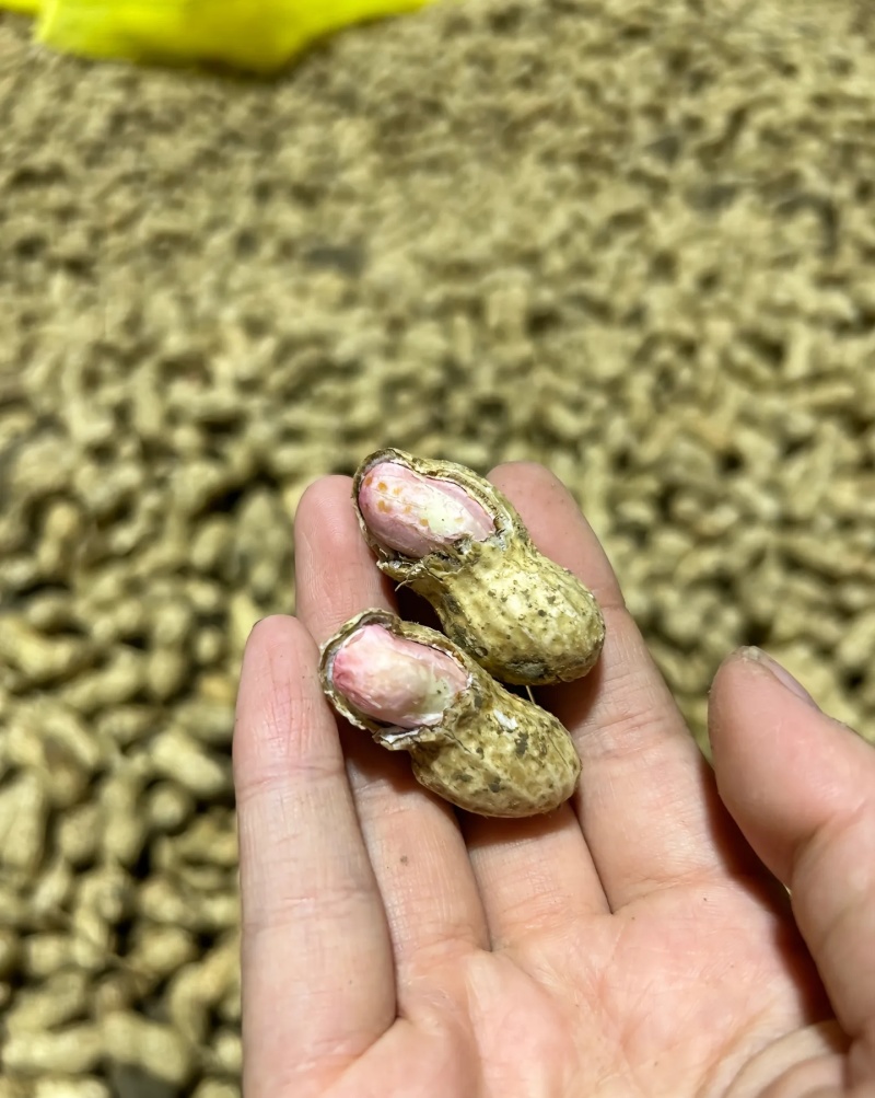 花生