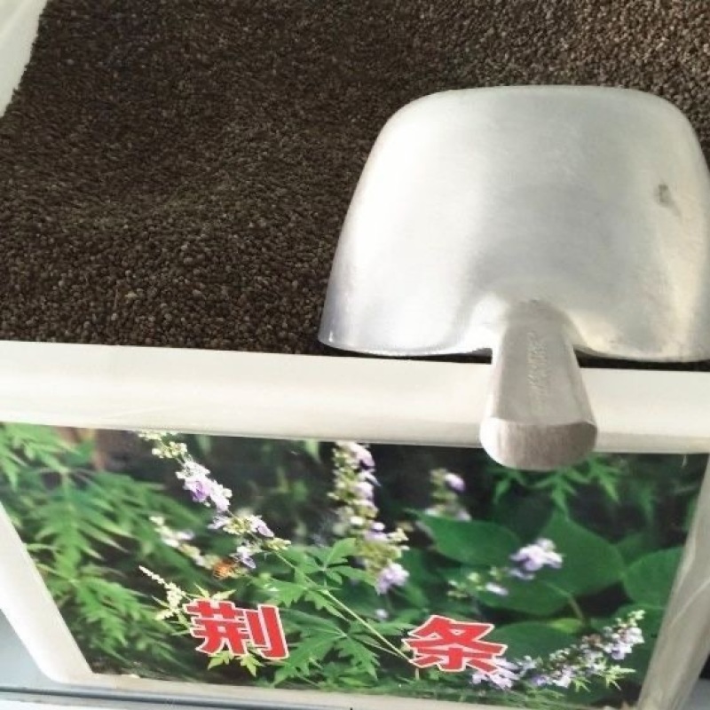 新采荆条种子荆条树种子蜜源植物荆条花种子杜荆柴黄金子灌木包邮
