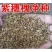 新采紫惠槐种子简单易种林木种子护坡种子紫穗槐种子刺槐