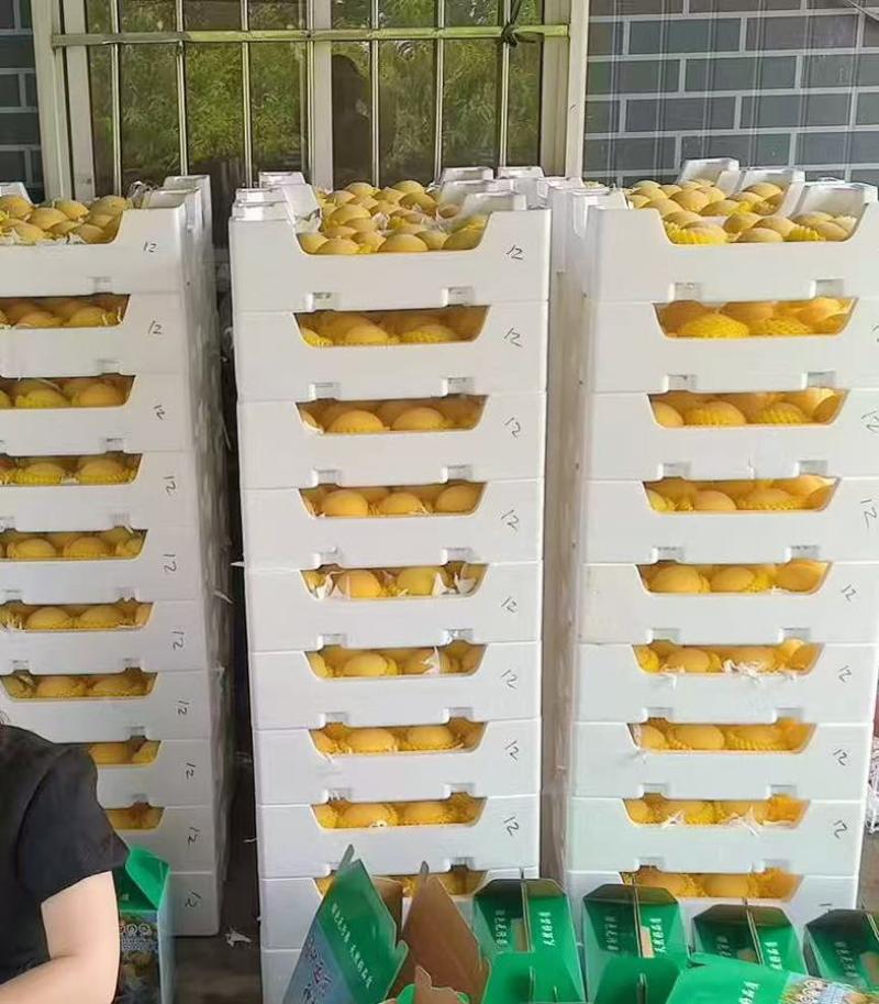 锦绣黄桃