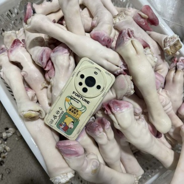 育肥羊蹄，各种规格，大量有货，一手货源