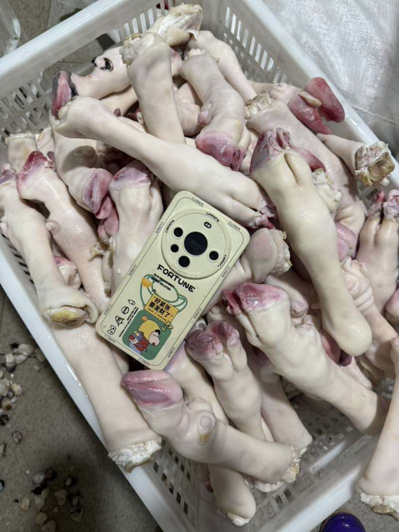 育肥羊蹄，各种规格，大量有货，一手货源