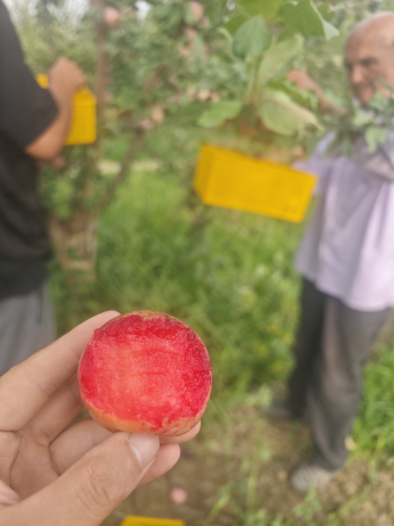 喀什恐龙蛋（味帝）