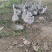 大方沁猕猕猴桃