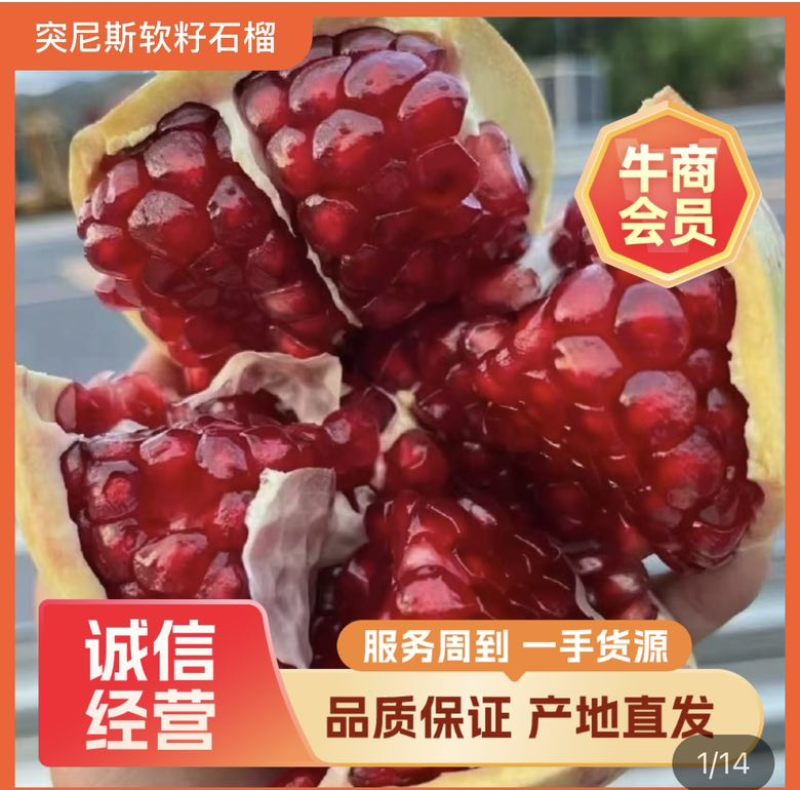 四川会理突尼斯软籽石榴产地一件代发，对接各电商平台主播达人