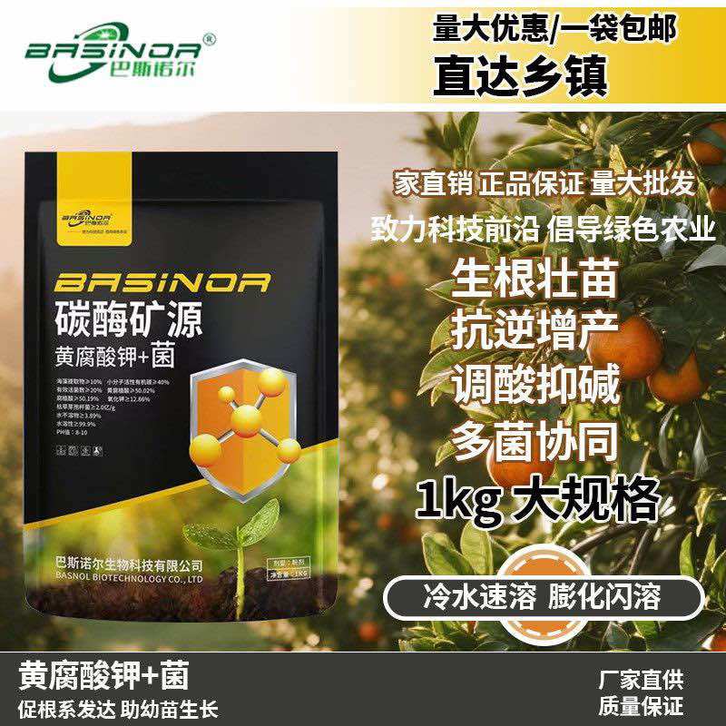 矿源黄腐酸钾加菌中孔微颗粒