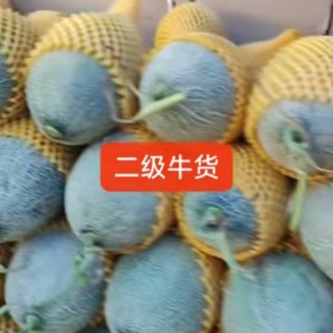 哈密瓜
