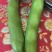 蚕豆