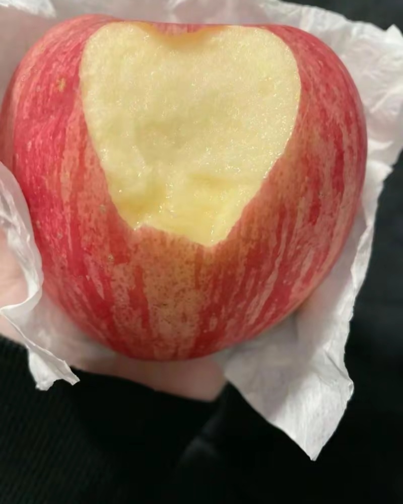 大量噶啦苹果成熟