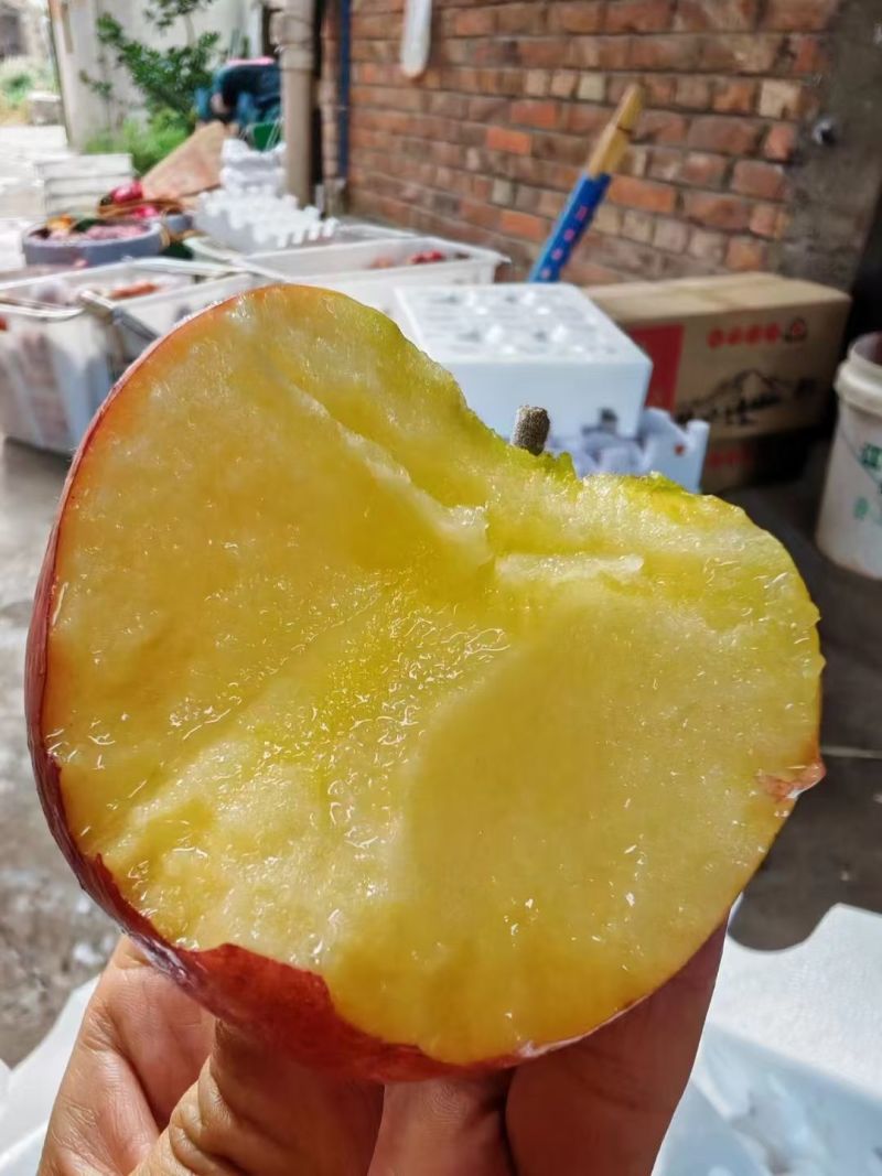 云南昭通丑苹果