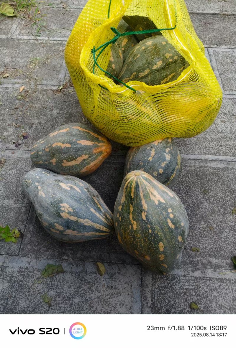 香芋南瓜