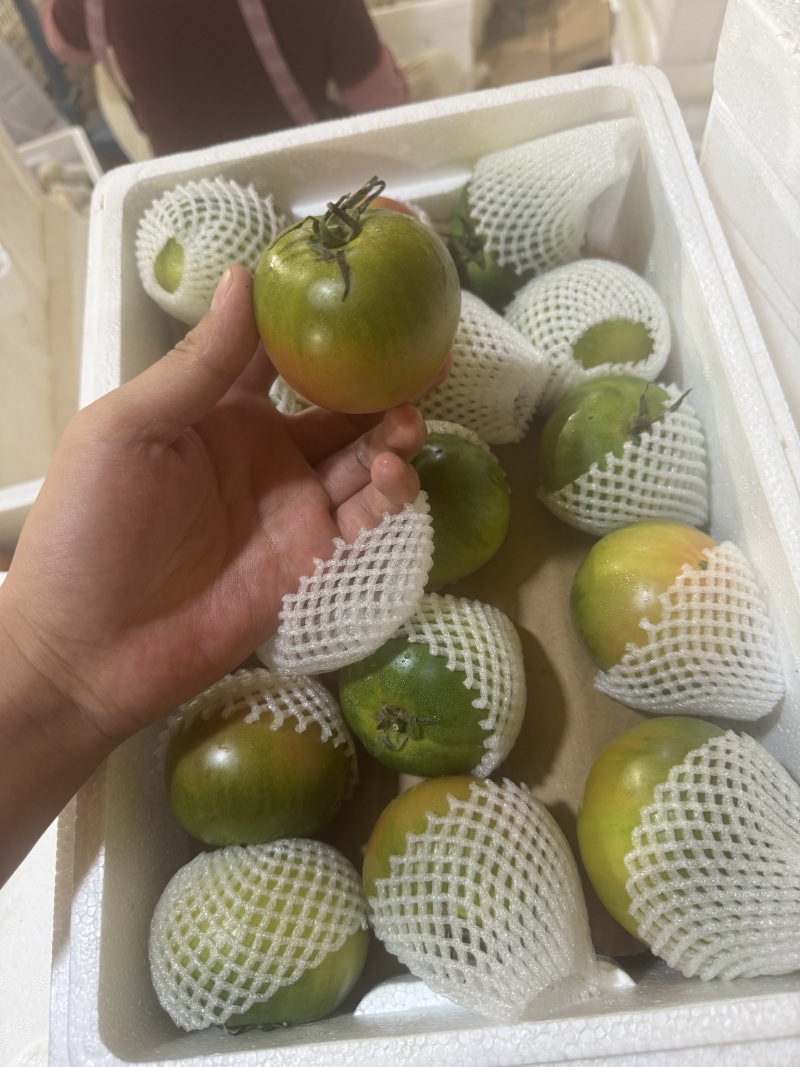 草莓番茄铁皮柿子内蒙原产地精品草莓番茄
