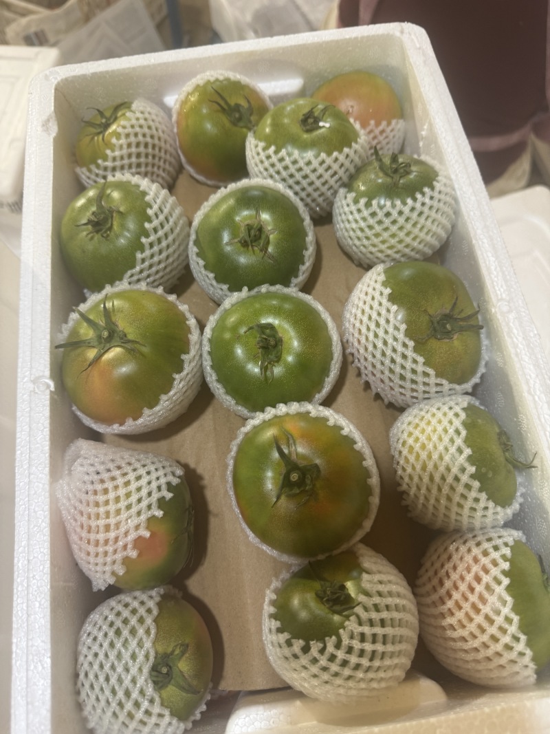 草莓番茄铁皮柿子内蒙原产地精品草莓番茄