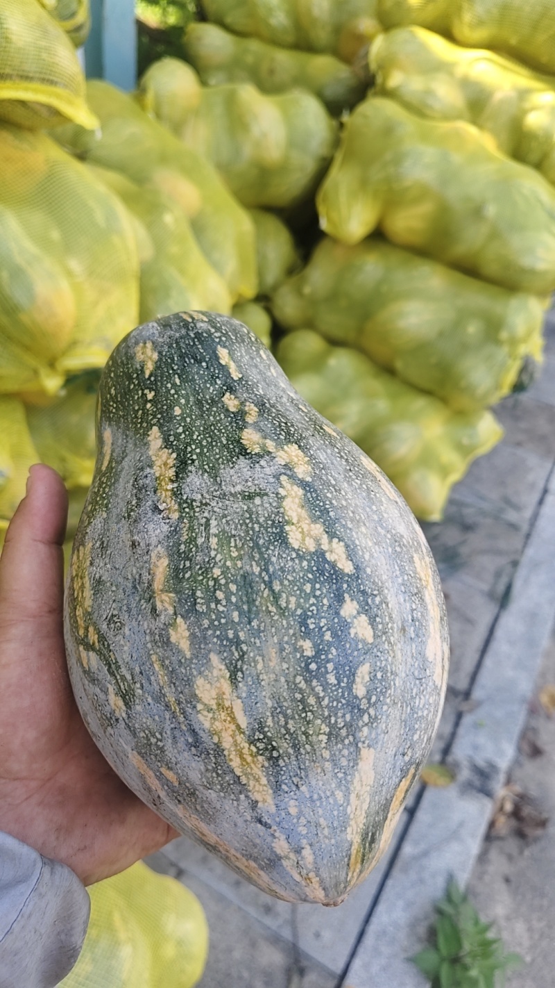 香芋南瓜