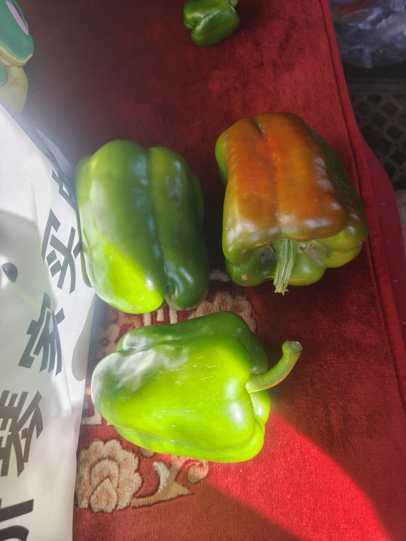 圆青椒