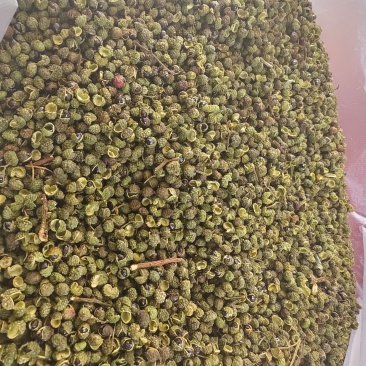 云南皎平渡青花椒