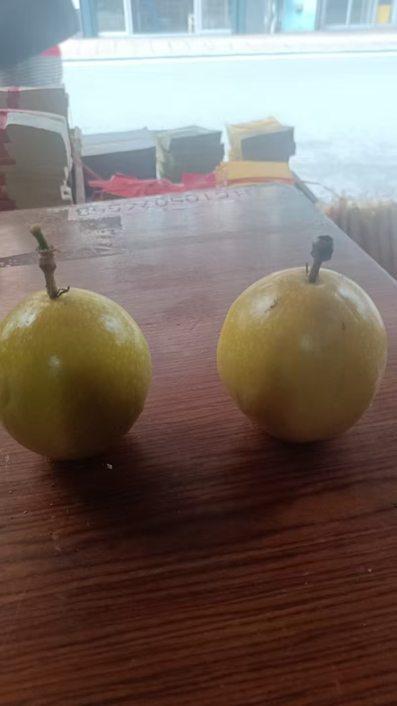 黄金百香果