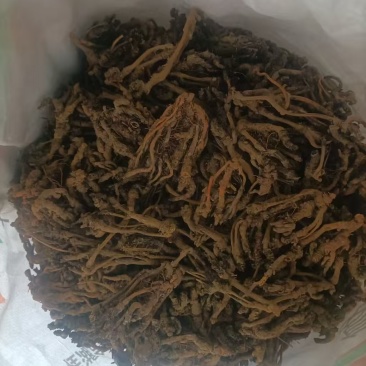黄莲