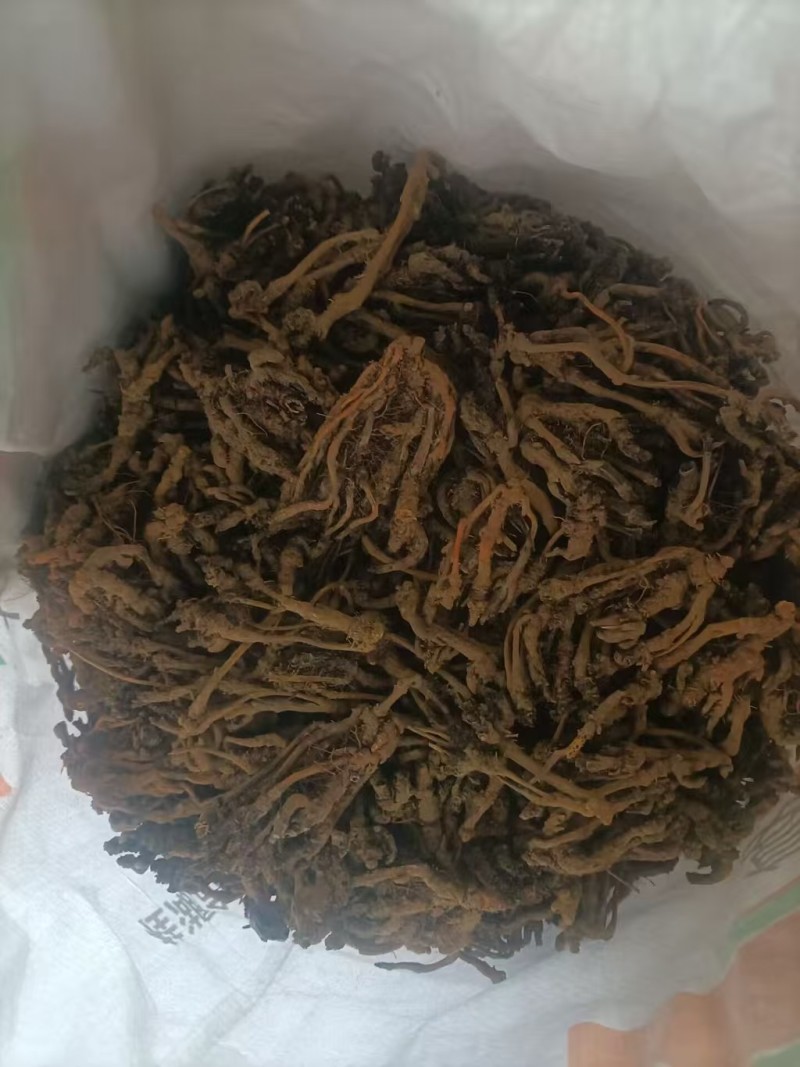 黄莲