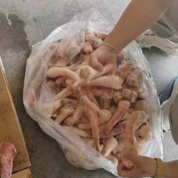 二级猪尾