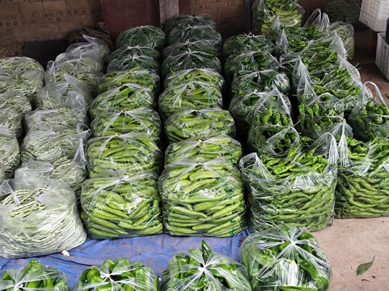 圆包菜