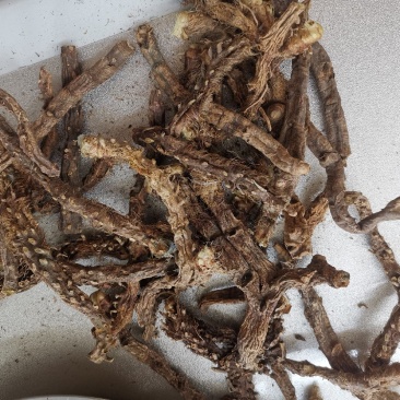 仙鹤草，益母草，知母