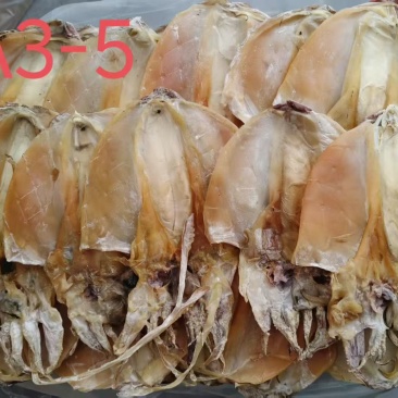 墨鱼干
