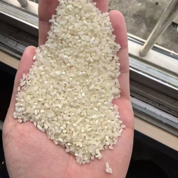 缅甸碎米