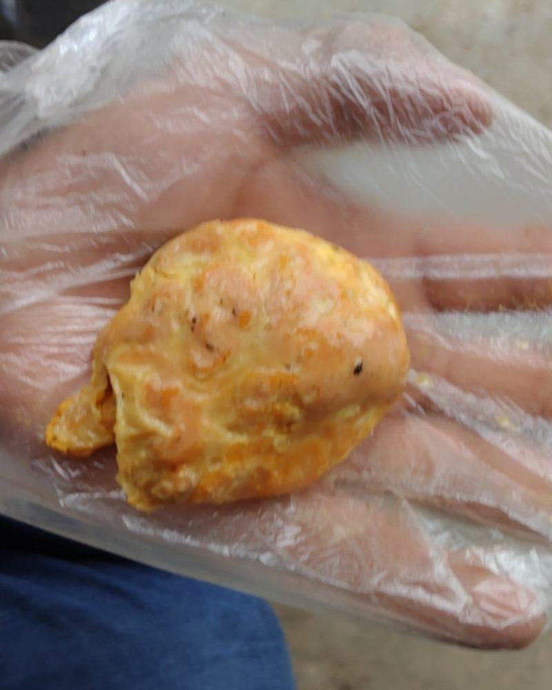 鸡宝