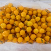 樱桃小番茄(黄色)，精品果