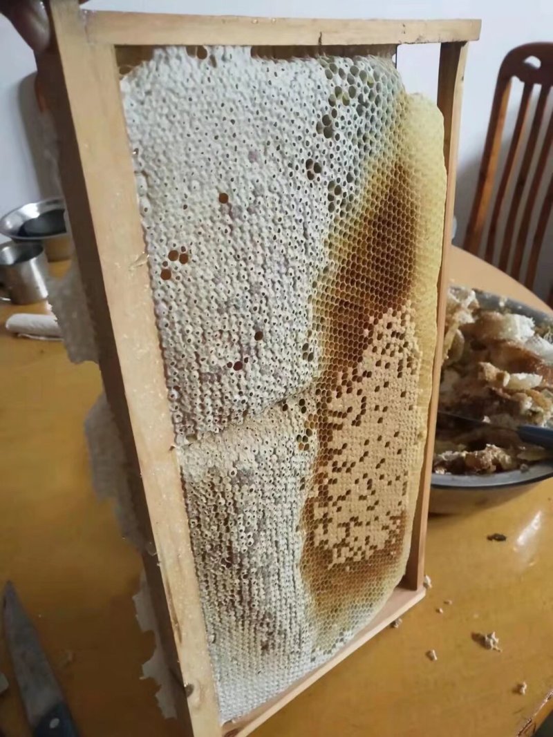 中蜂，土蜂蜜