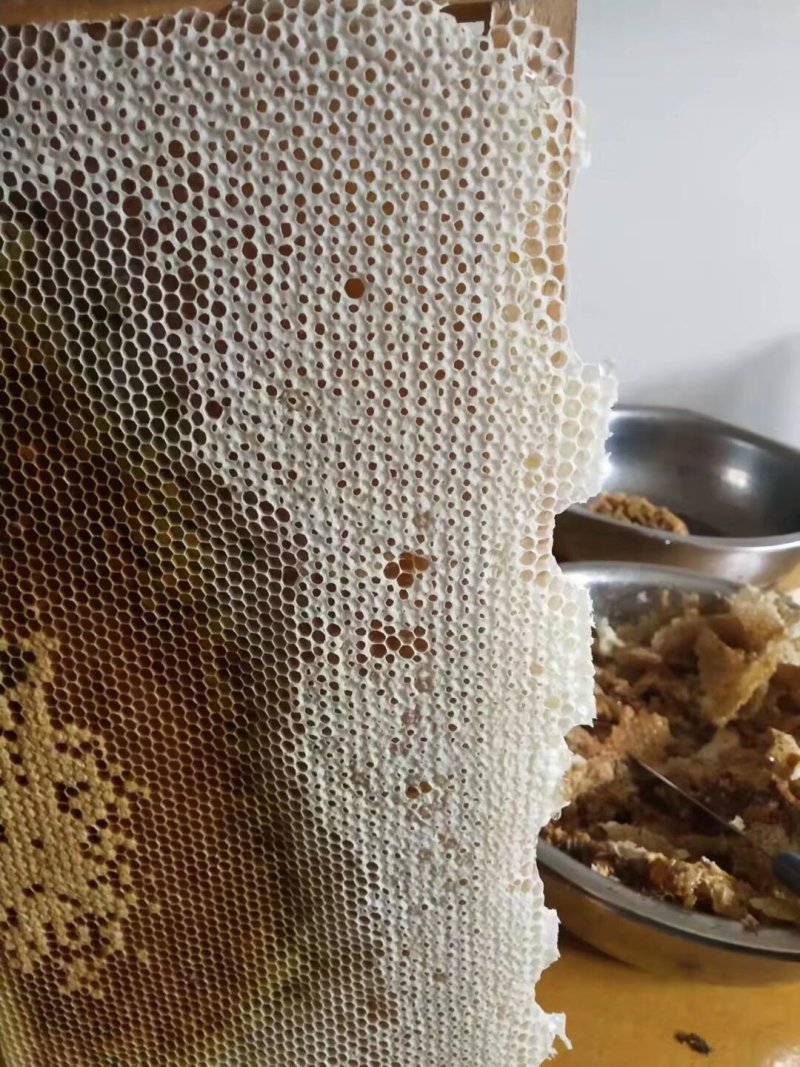 中蜂，土蜂蜜