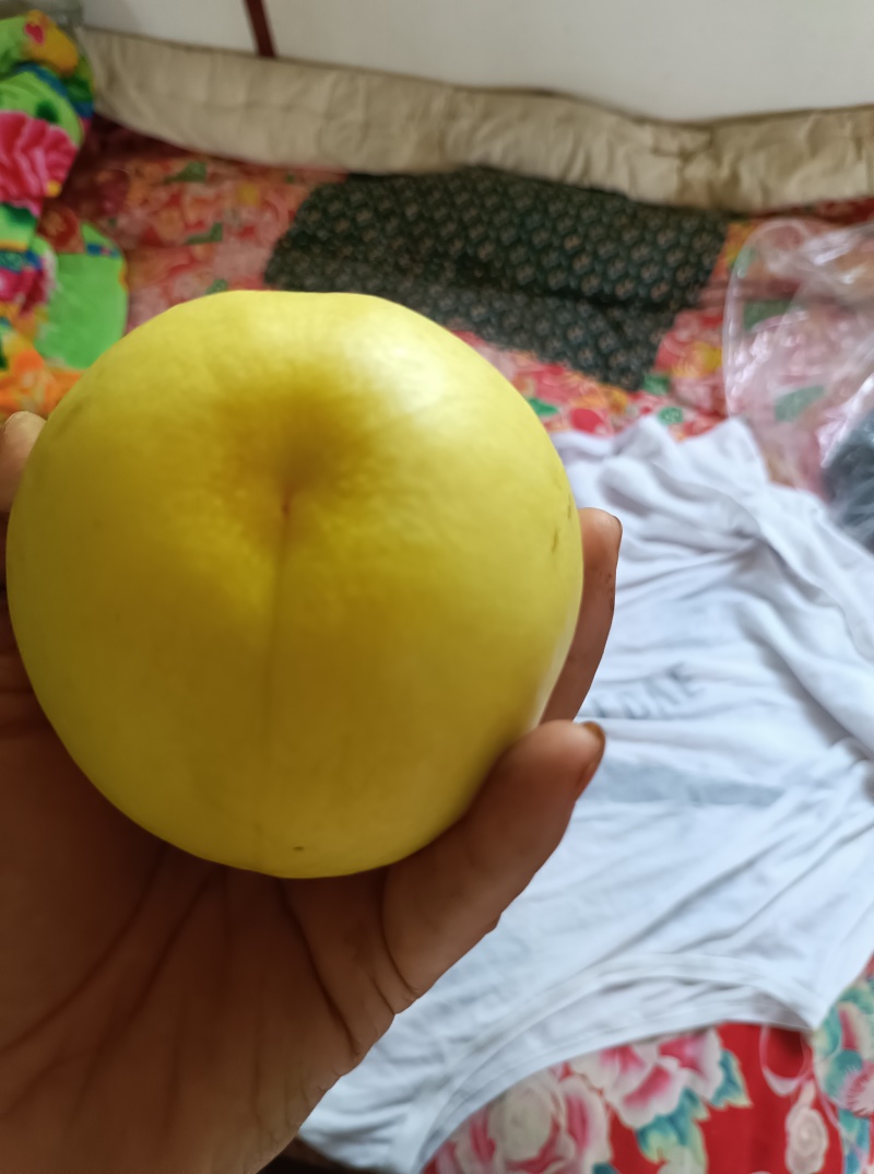 石黄果