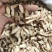 红芪原条，指甲片，瓜子片，圆片，规格齐全，产地甘肃