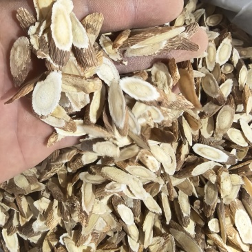 红芪原条，指甲片，瓜子片，圆片，规格齐全，产地甘肃