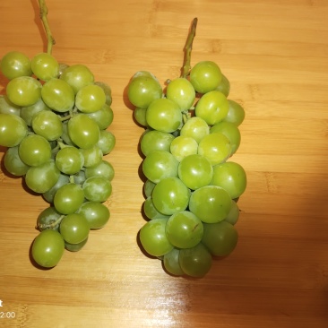 阳光玫瑰葡萄