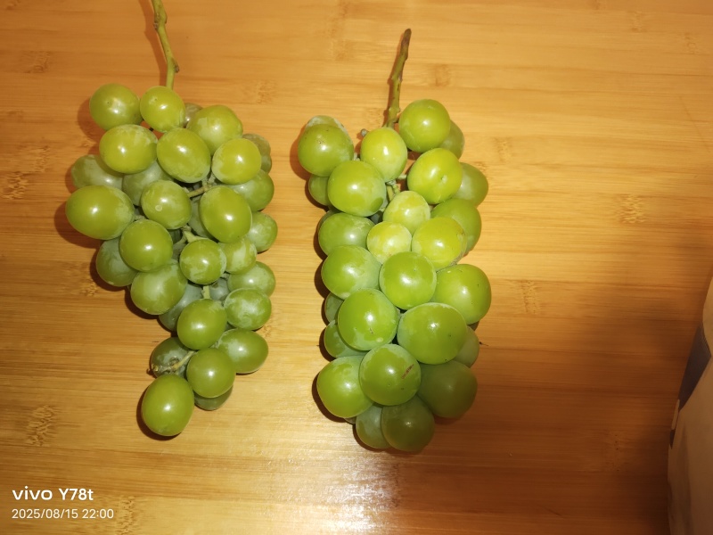 阳光玫瑰葡萄