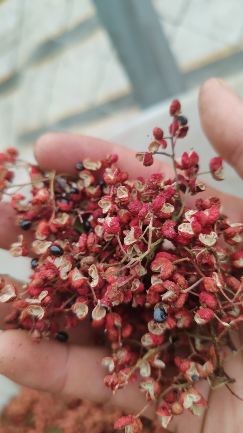 大红袍花椒