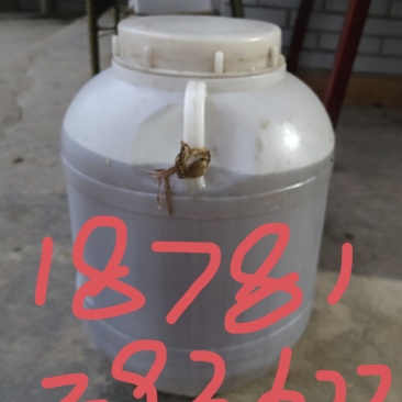 蜂蜜大桶装