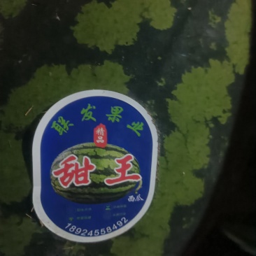葡萄