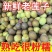新鲜成熟老莲子米褐色带壳带芯新鲜老莲子米当天现摘现剥不带蓬