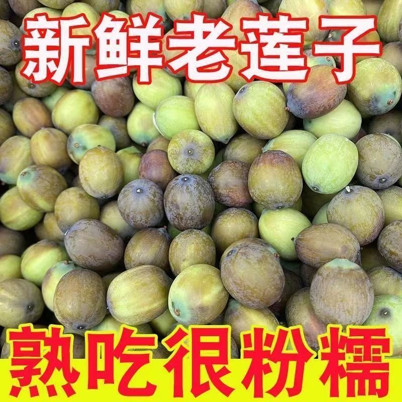 新鲜成熟老莲子米褐色带壳带芯新鲜老莲子米当天现摘现剥不带蓬