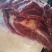 贵州遵义熟食土猪鲜肉批发