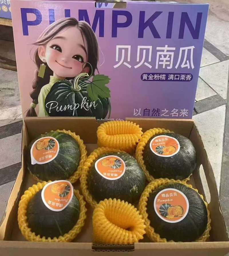 贝贝南瓜