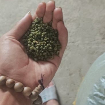 云南青花椒，自家种植晾晒，颗粒饱满，开口率高，麻香味十足