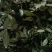 云南青花椒，自家种植晾晒，颗粒饱满，开口率高，麻香味十足
