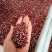 四川汉源清溪花椒